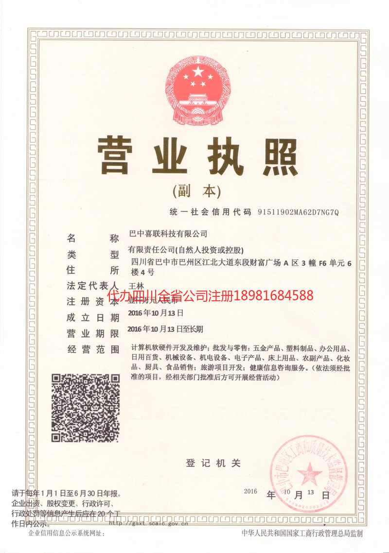 崇左崇左喜联科技有限公司